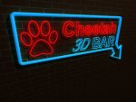 neon_201.jpg