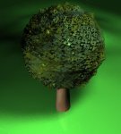 tree.jpg