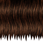 hair.png