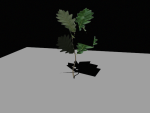 test.png