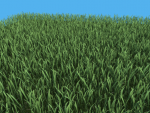 Lawn Grass jdmac.png