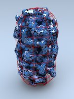 capsule81.jpg
