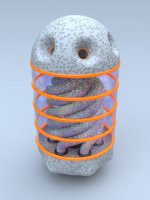 capsule87.jpg