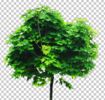 Picture 1.png