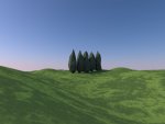 cypress.jpg