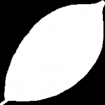 LeafSpc.png