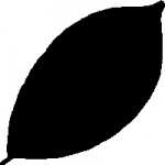 LeafTnp.png