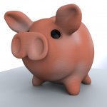 pig1.jpg