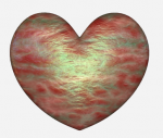 Picture 1.png