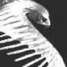 mrdesignery