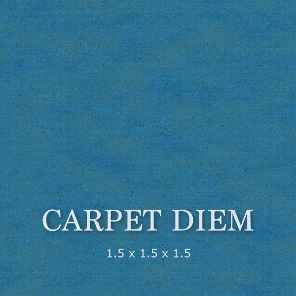 1.5 Carpet test.jpg