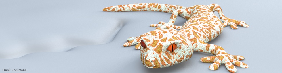 Gecko 3d Render